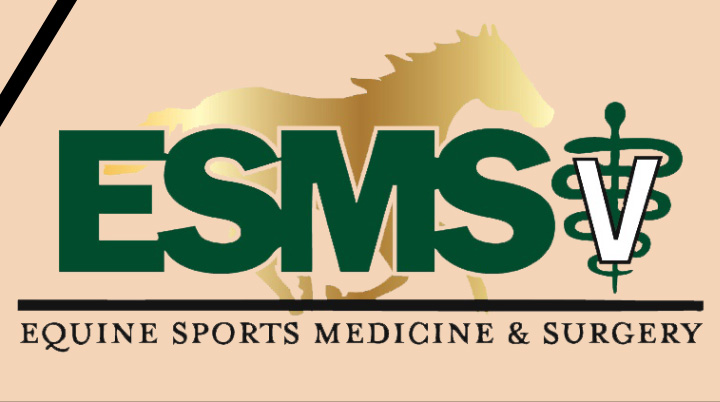 Equine Sports Medicine and Surgery